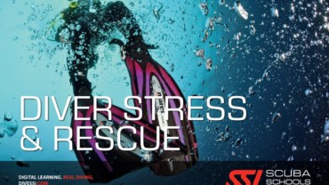 Stress & Rescue