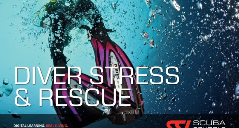 Stress & Rescue